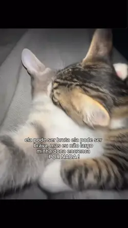 DONA ENCRENCA 