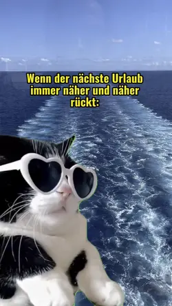 Cat dancing