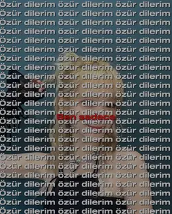 özür dilerim