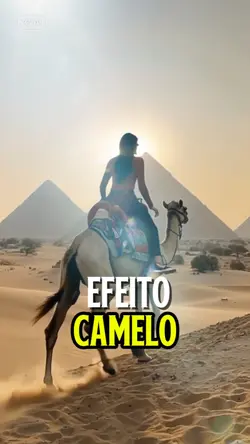 Efeito camelo