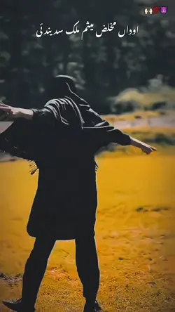 Mesam Attitude🔥👑