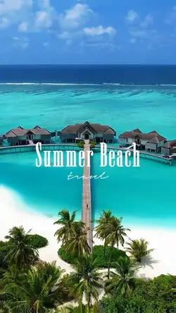 Summer Beach
