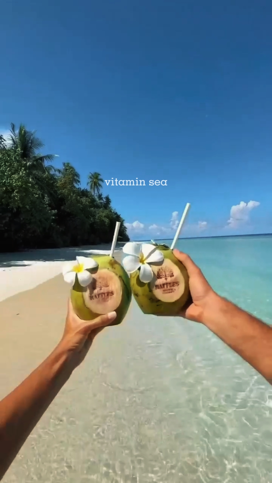dagat ng bitamina