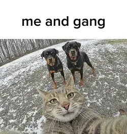 Me and gang trio