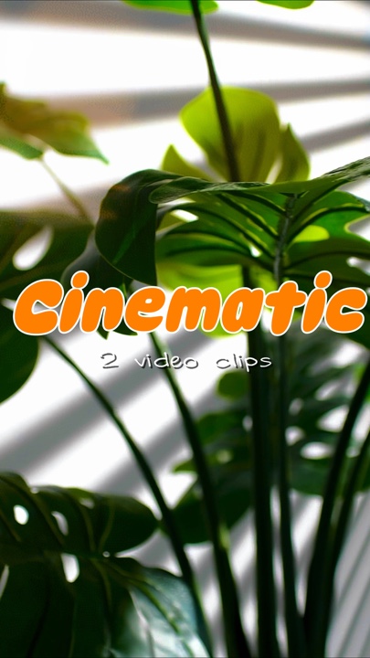 Vídeo cinematográfico 2