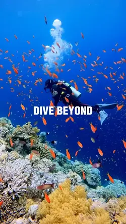 Dive Beyond