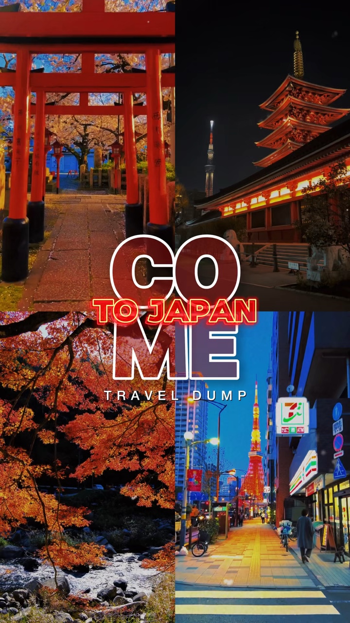 COME TO JAPAN DUMP