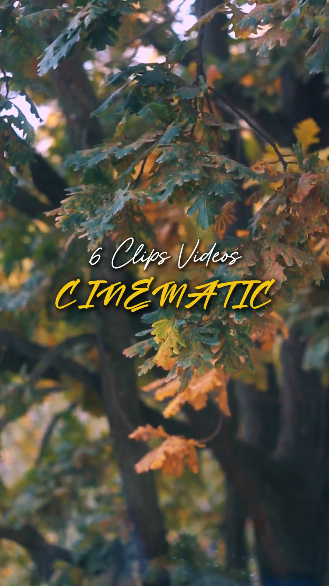 Cinematic 6 Videos