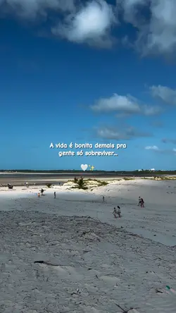 A vida é maravilhosa