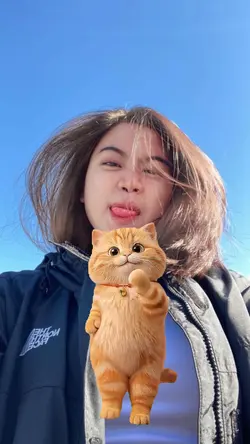 CUTE CAT DANCE