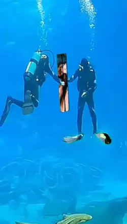 Scuba