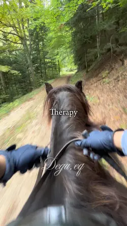 THERAPY 4K 