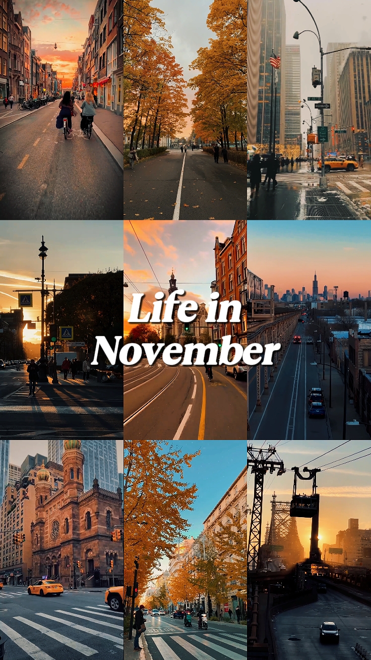 life in november