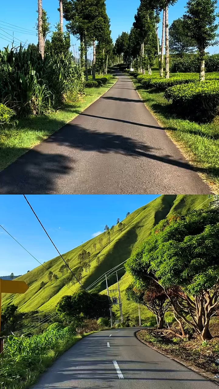 2 layout de vídeo satu