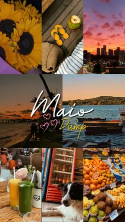 Maio Dump