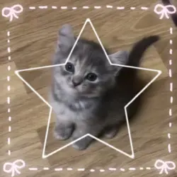 Cats/kitties ^^
