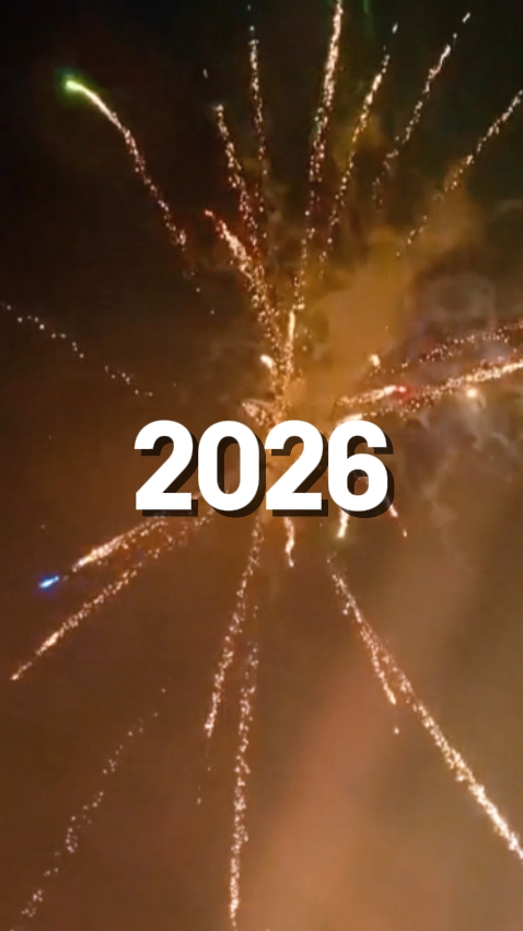 2026 sei nett