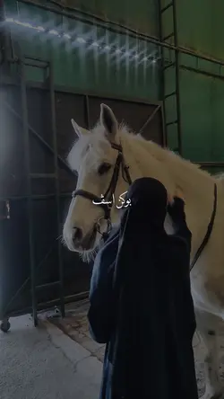 bukan asap bkn byang