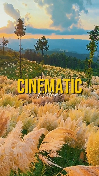 NATUREZA CINEMÁTICA
