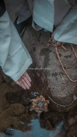 Độ ta k độ nàng