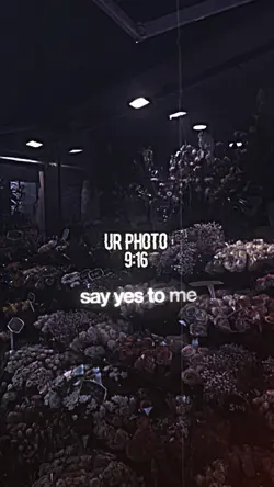 say yes to me