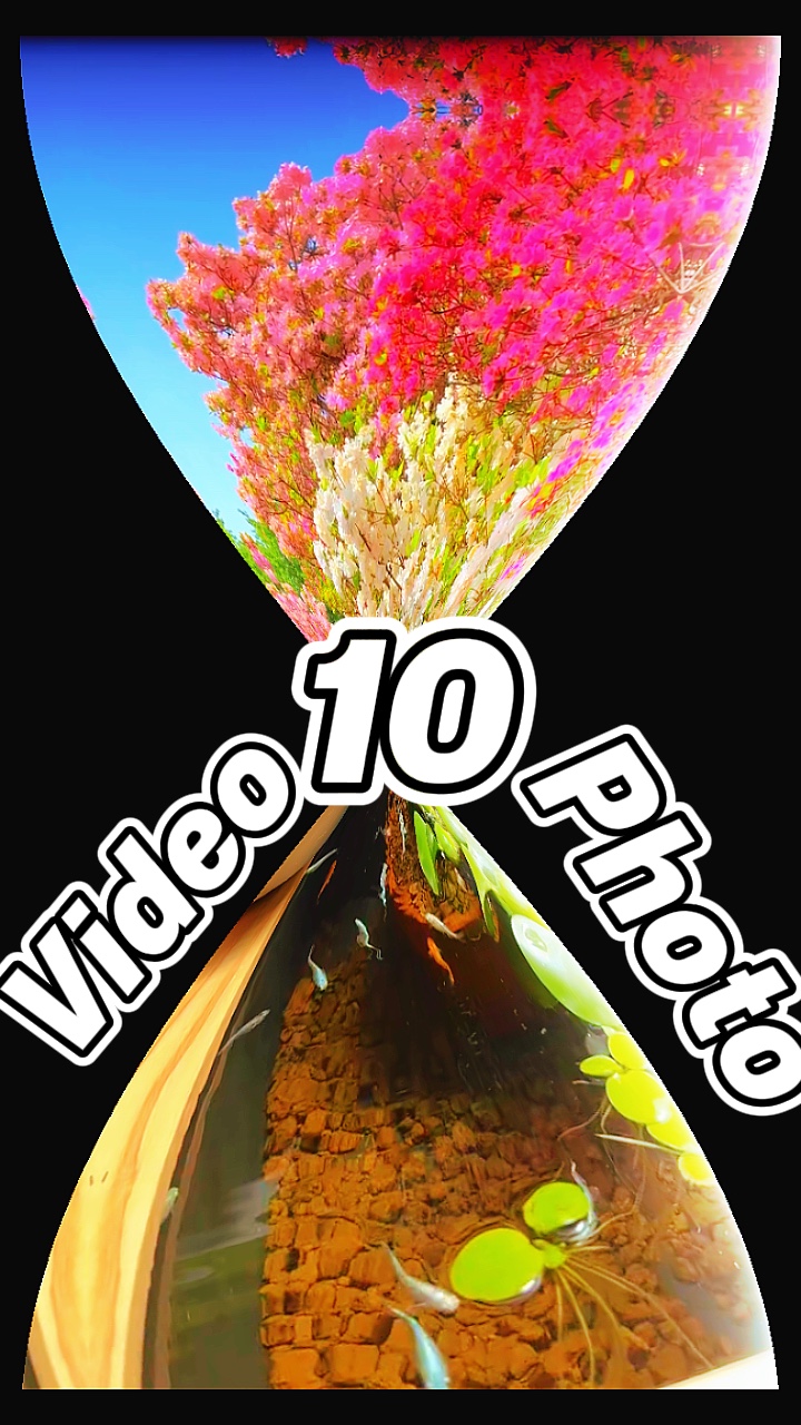 10 clip or photo 