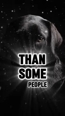 Dog love vs others 
