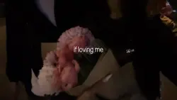 LESS - OLIVIA