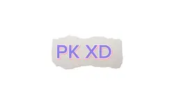 PK XD 