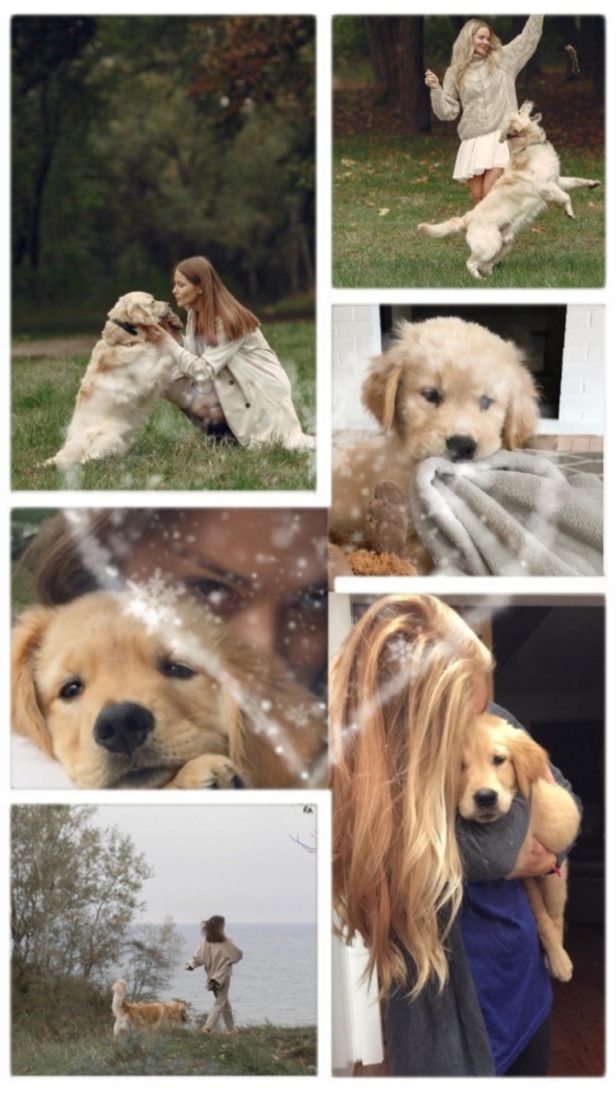 Amigo Perro