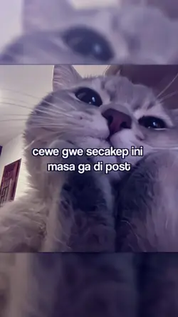 cewe gwe secakep ini