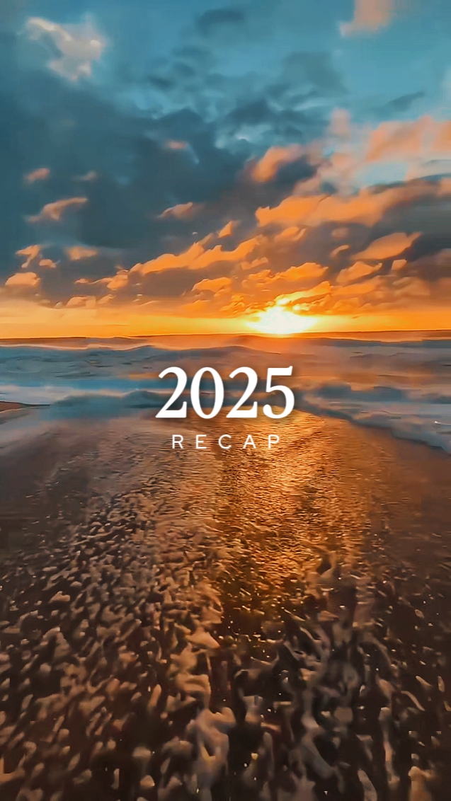 2025 요약