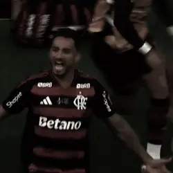 flamengo edit