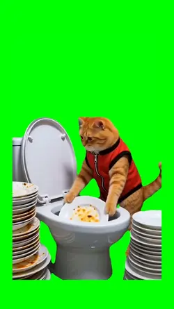 CAT WASHING DISHES