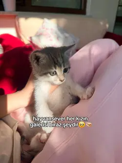hayvanlaraasıgımbb.