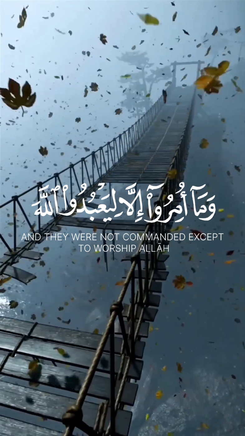 سورة البينة