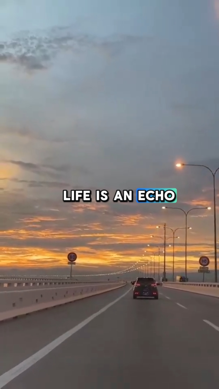 O Eco da Vida

