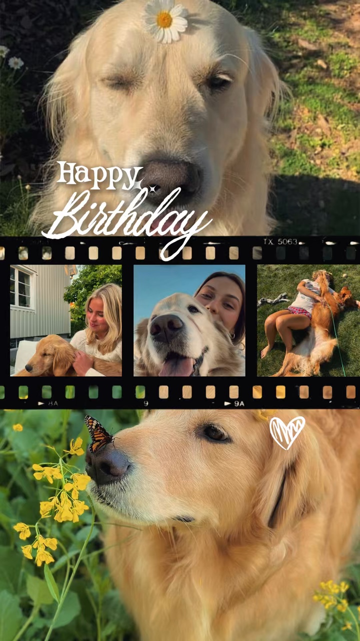 Birthday my dog
