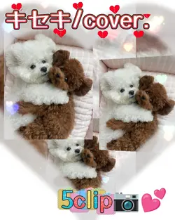 キセキ/cover./5clip