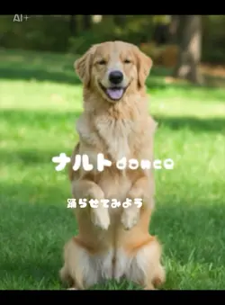 ナルトダンス❣️踊ってみようよ👍