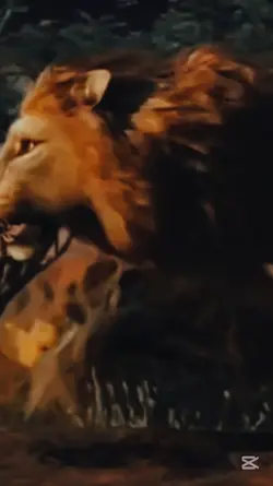 BATALLA TIKTOK 