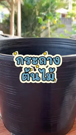 Plant pot