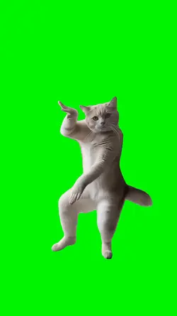 Dancing Cat Meme