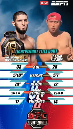 MMA UFC POSTER