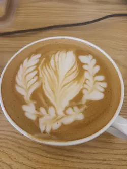 Coffee at Its Best