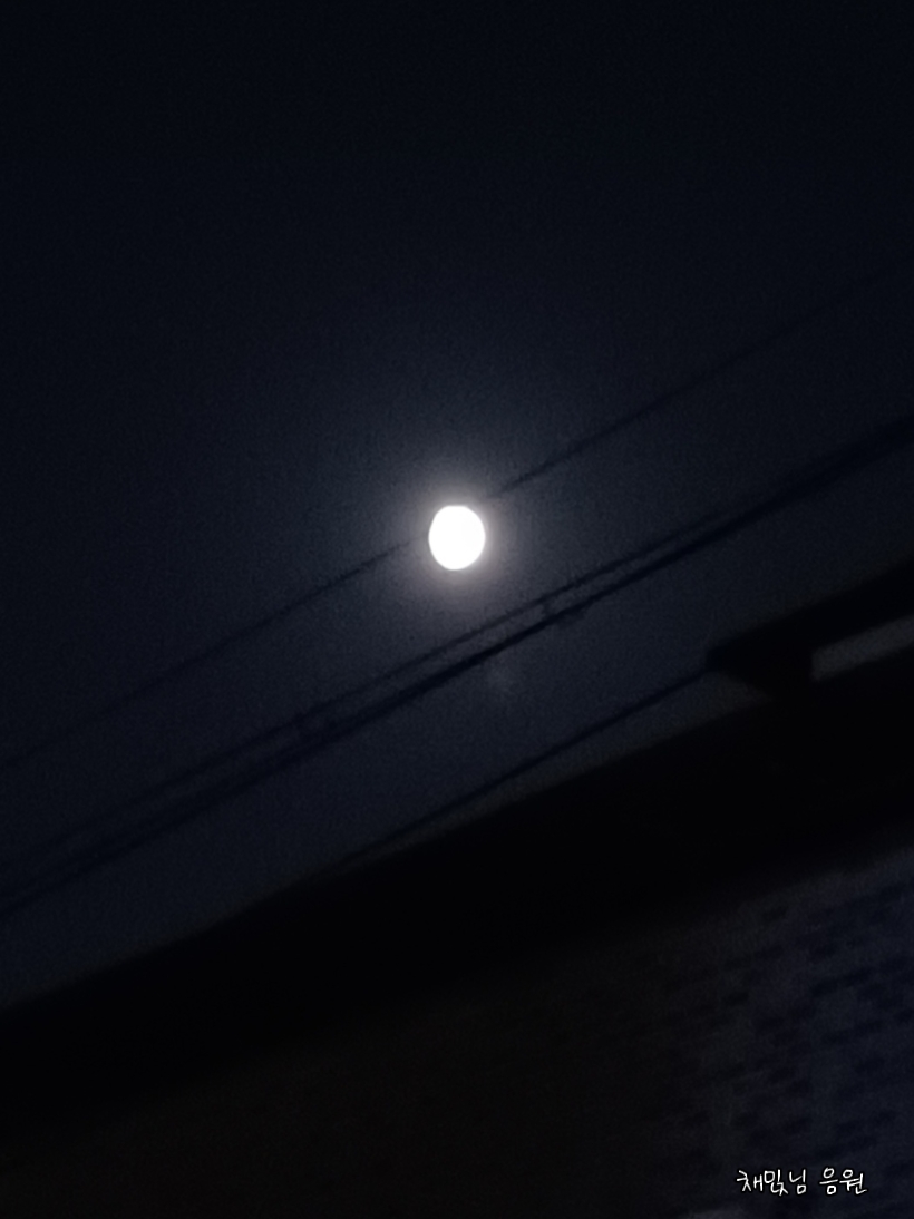 노래 넘 좋아ㅏ