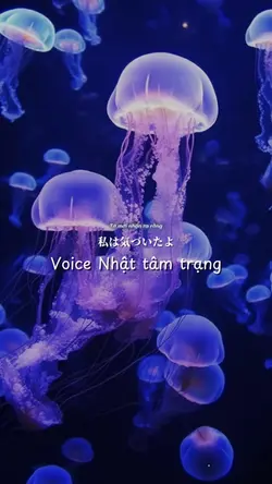 Voice Nhật tâm trạng
