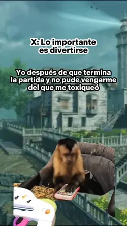 Mono pegando celular