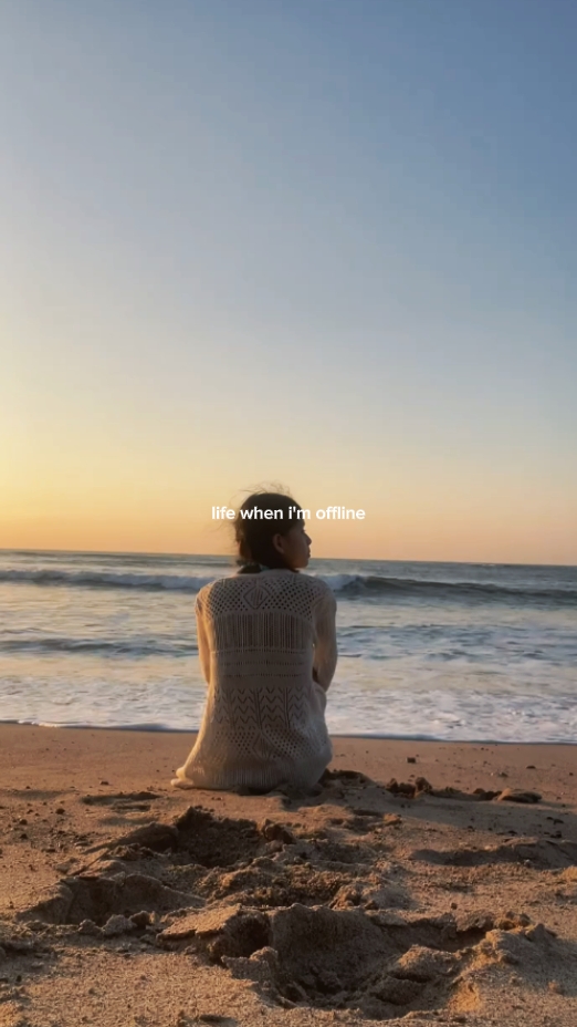 Vida offline 