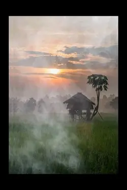 ทุ่งร้างนางลืม